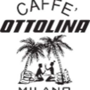 cropped logo palm old